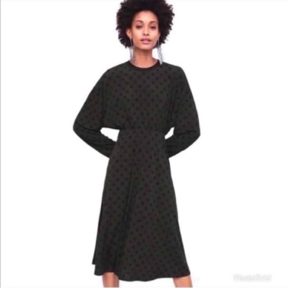 Zara Long Sleeve Dress Stretchy green black polkadots Size Medium